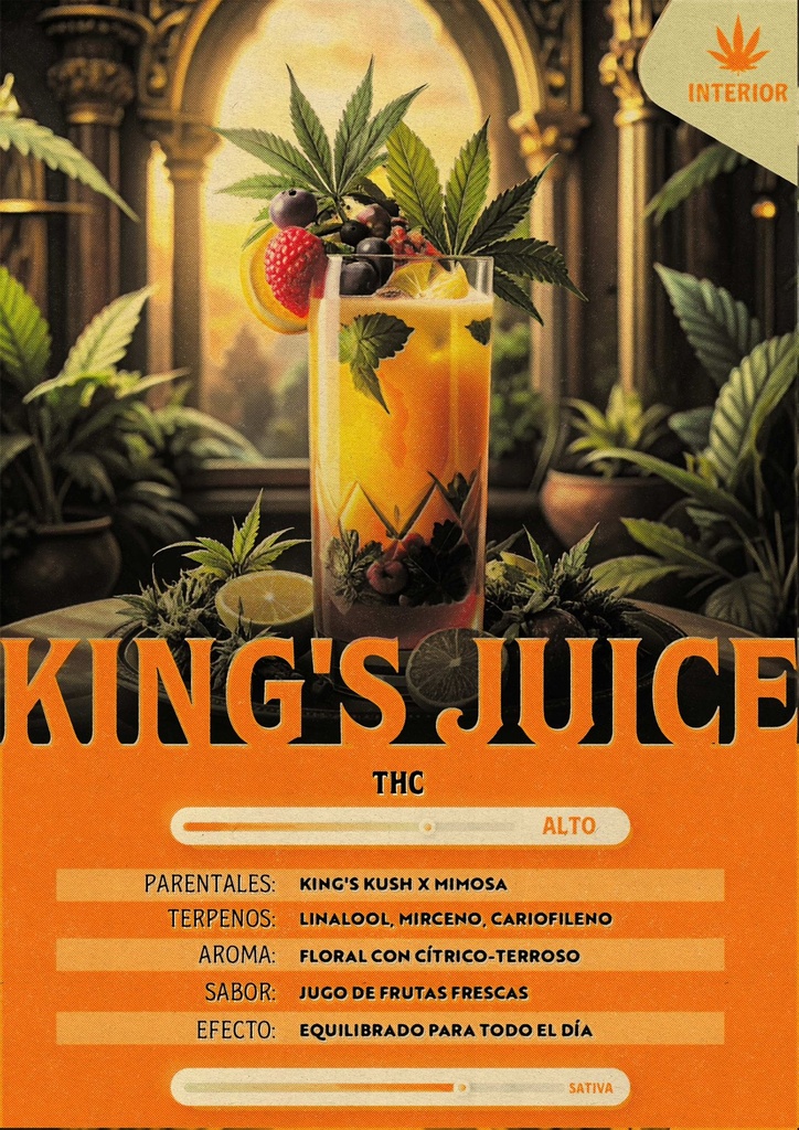 King Juice (5 Gramos)