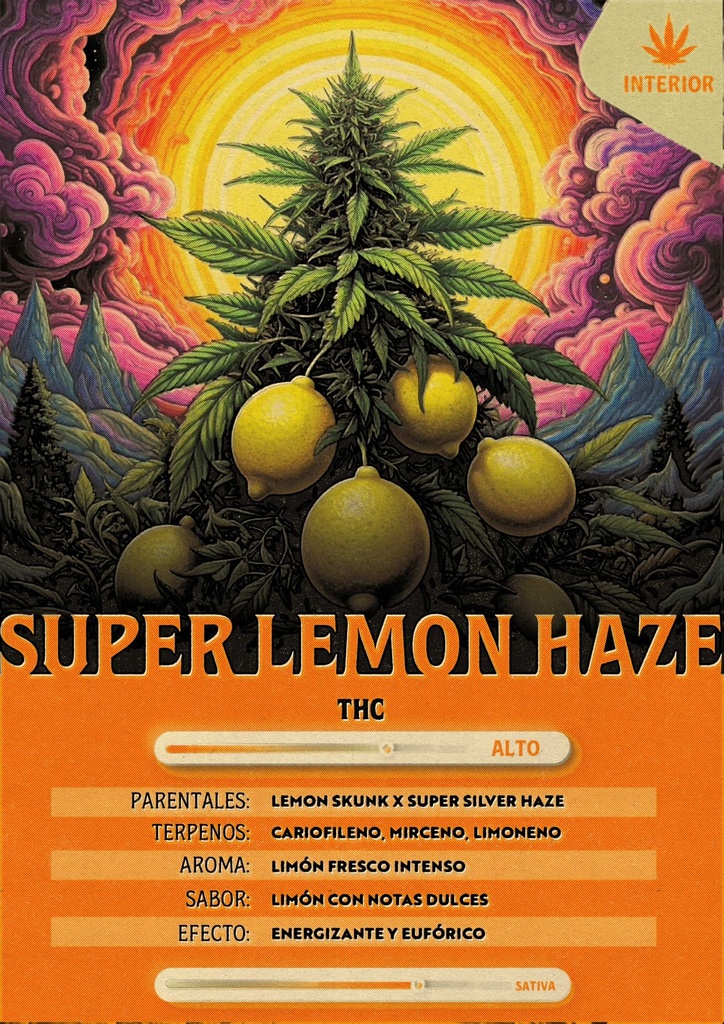 Super Lemon Haze (5 Gramos)