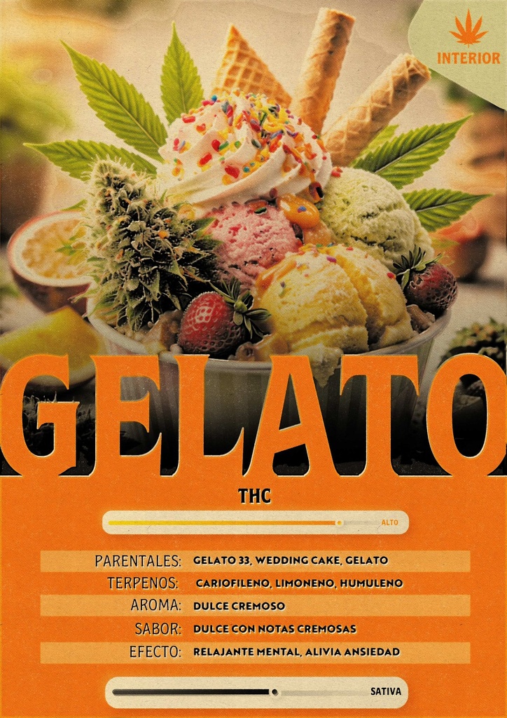 Gelato (5 gramos)