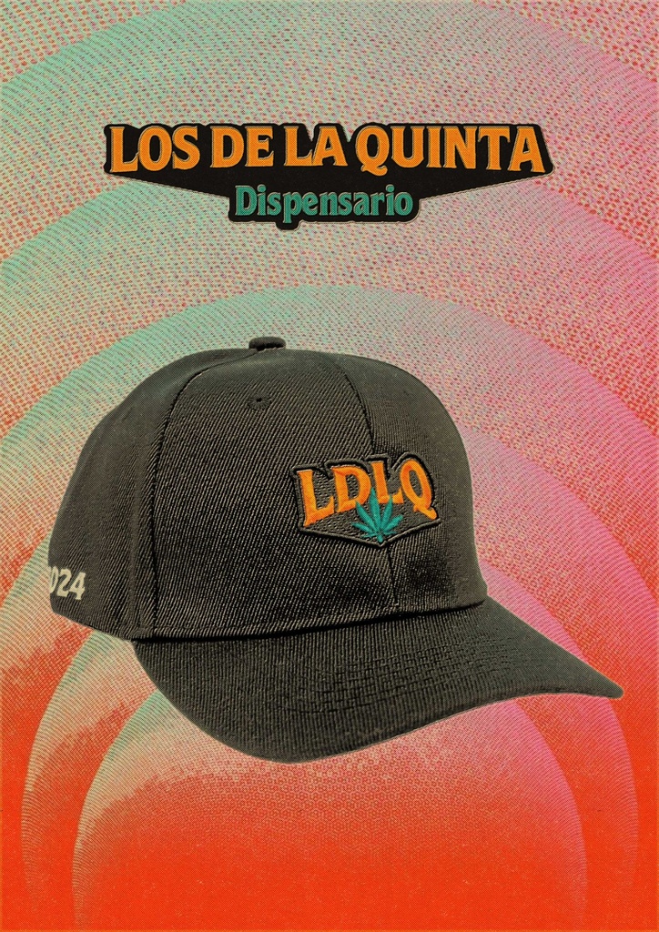 Gorro LDLQ Negro con Velcro 