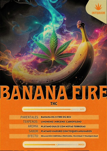 [MFI_BF5G] Banana Fire (5 Gramos) 