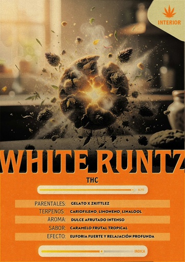 [MGI_WRG] White Runtz (Granel)